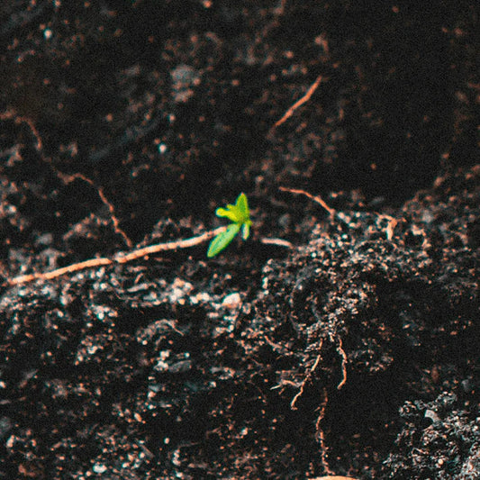 Sustainability