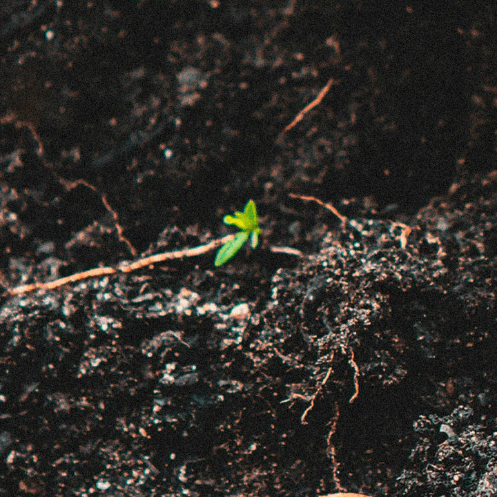 Sustainability