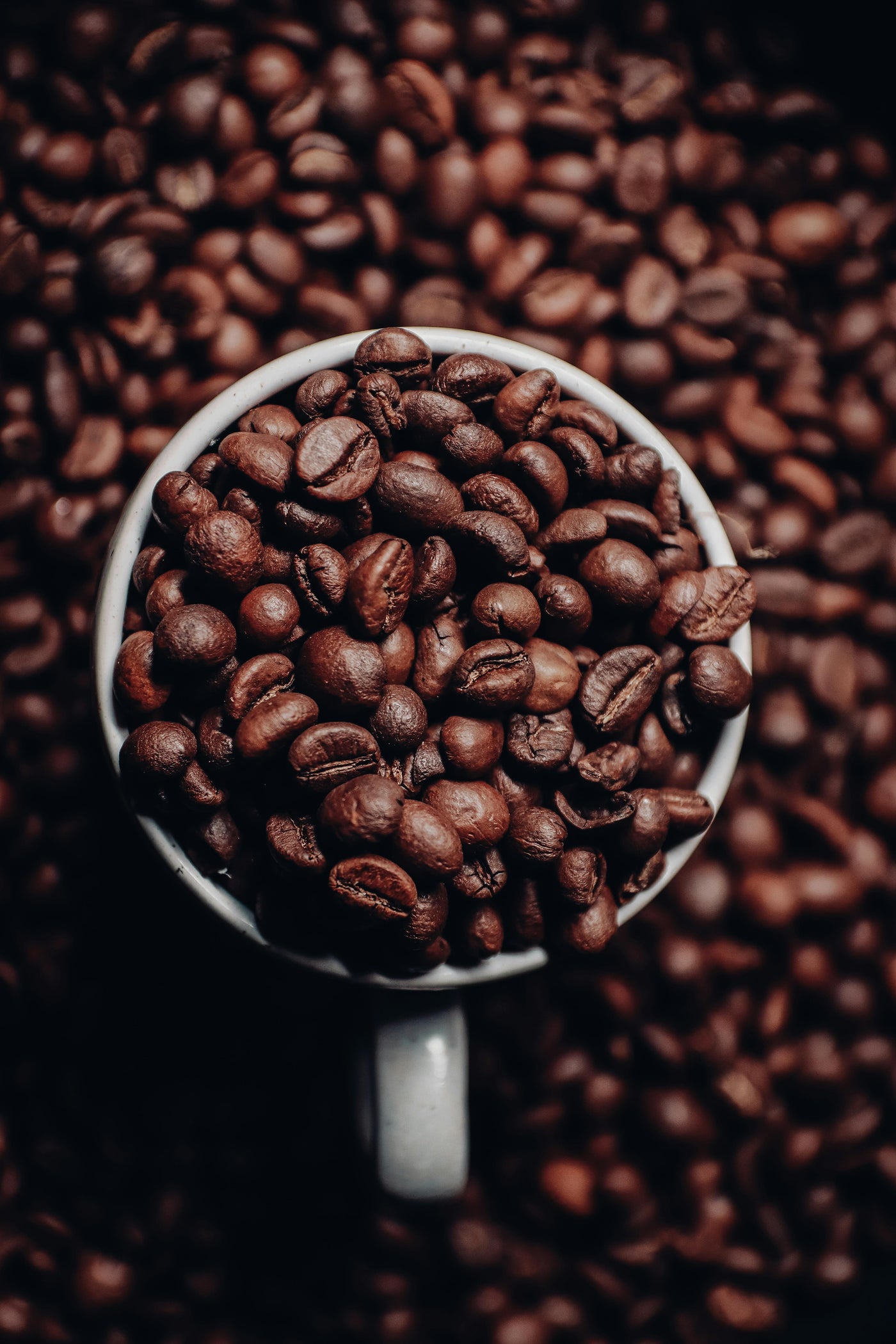 What goes in (and what doesn't)