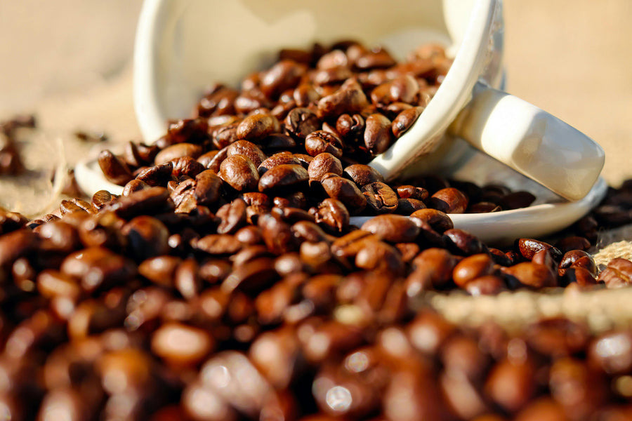 Organic Plant Proteins